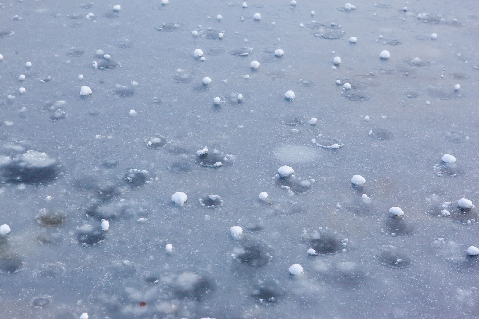 Dozens of hailstones scattered across a sheet of grey ice, each one sitting in the shallow crater it melted for itself.
