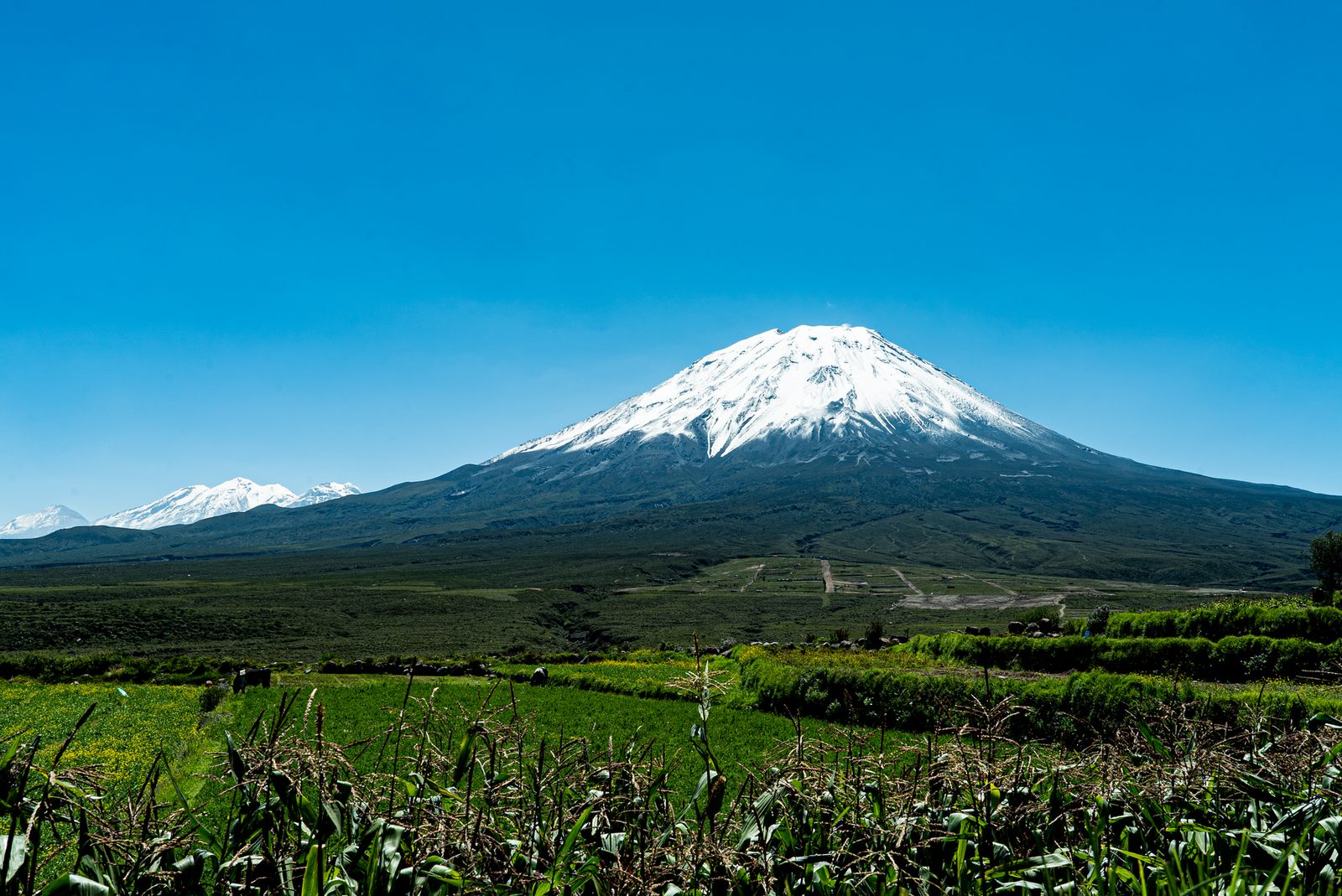 Snow-capped El Misti over the green fields of the Arequipa countryside, under a clear sky