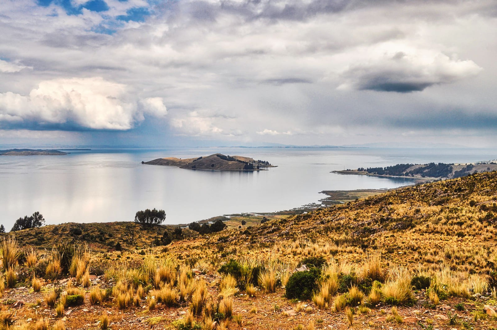 Lake Titicaca seen from a hillside of golden ichu grass, with islands under a dramatic sky